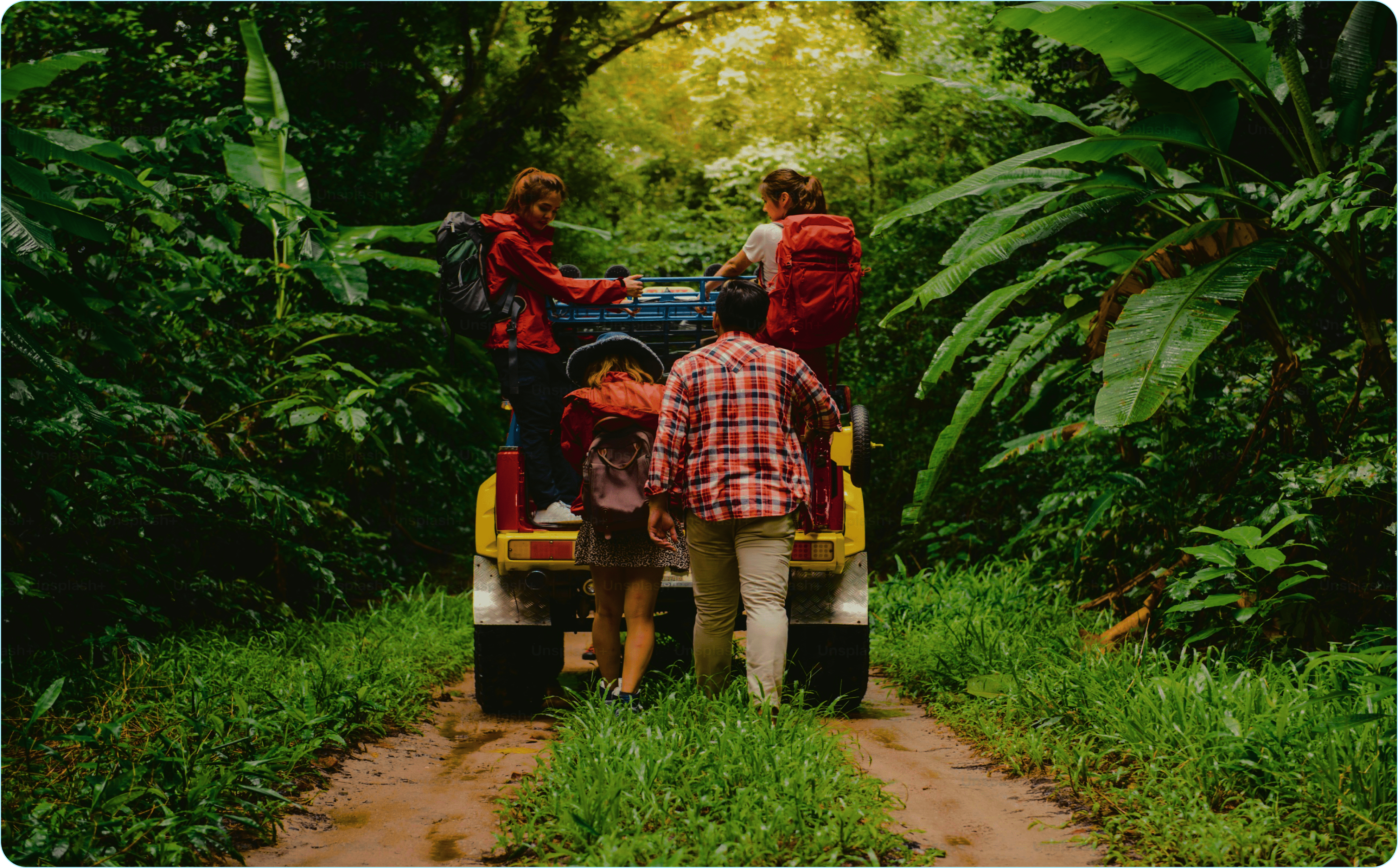 Jungle Safari