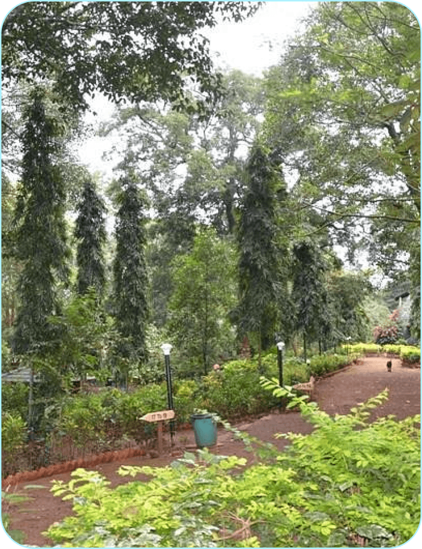 Custom event hosting in natural forest setting - Private parties and romantic dinners